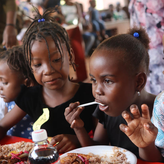 Give a Christmas Meal for 20 People