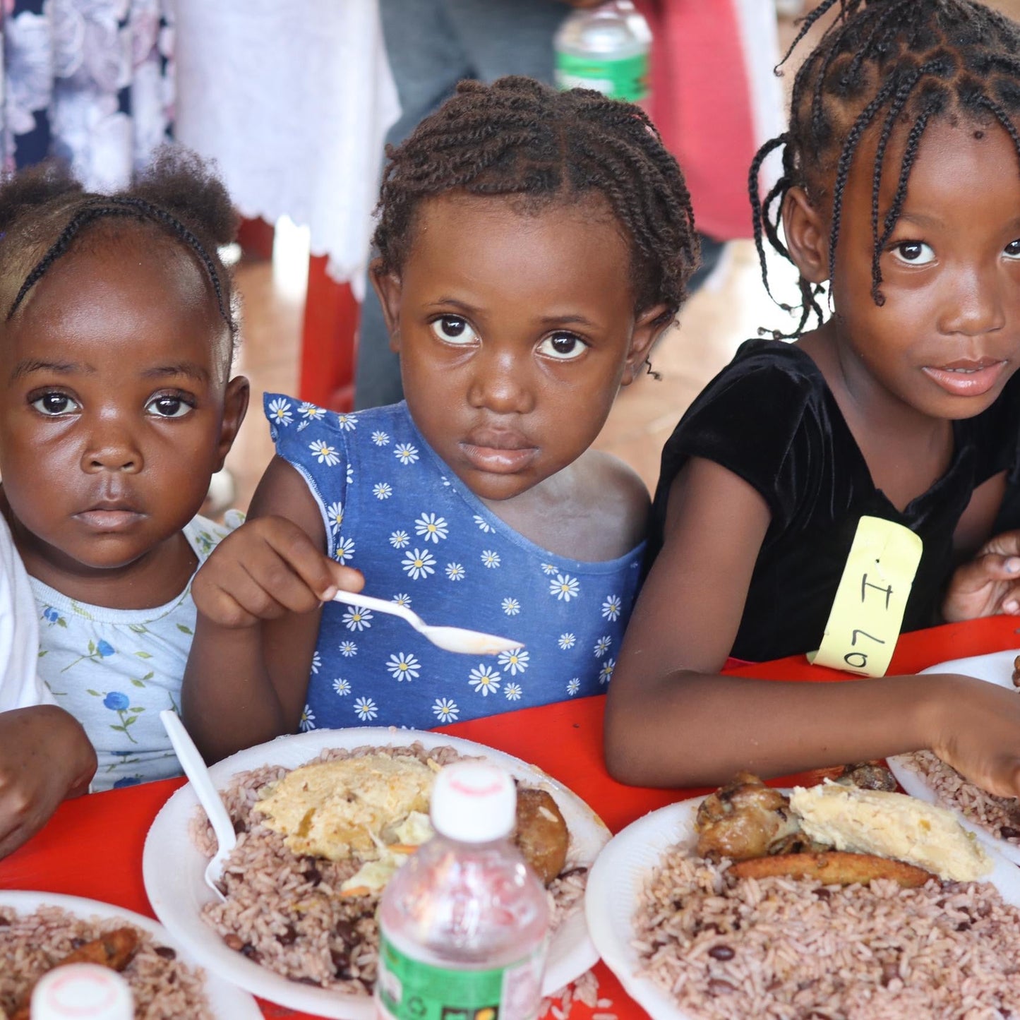 Give a Christmas Meal for 20 People