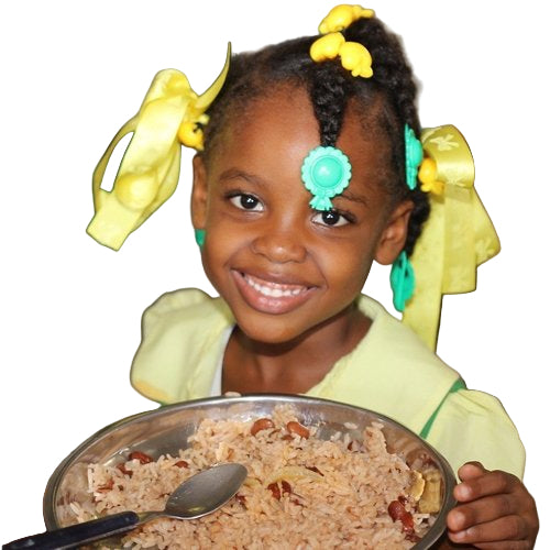 Give a Christmas Meal
