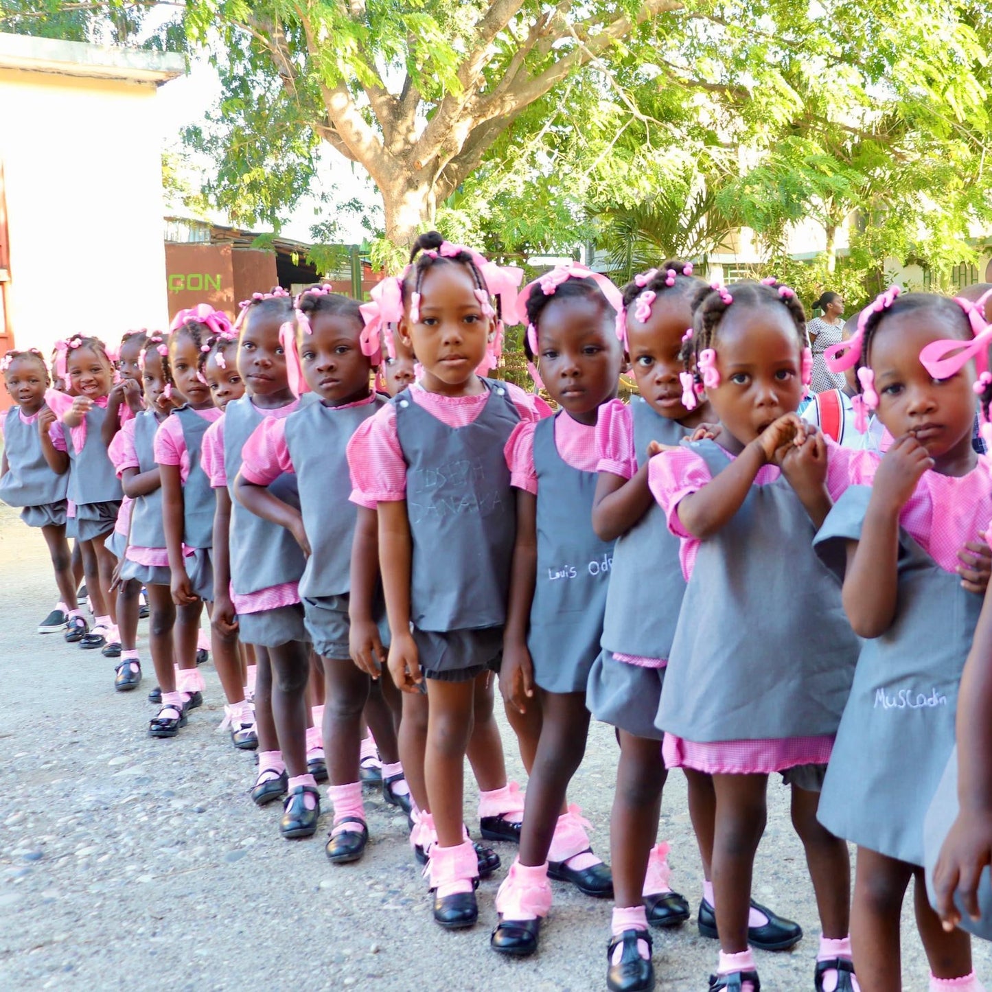 Give School Support & Become a Trustee